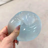 Blue Coconut Oil Soft Squishy