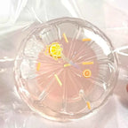 Quicksand Fruit Squishy Toy - Clear Silicone Fruit Tuotuo Series (Lime/Peach/Lemon)