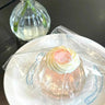 Grapefruit Snowy Top Large Pudding