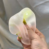 Honey Melon Mochi