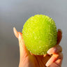 Kiwi Shaved Ice Herb Cookie