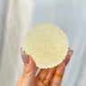 Lychee Gummy Grass Cake (Pure Gel Base)