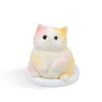 Chubby Cat Squishy: Handcrafted Silicone Stress Relief
