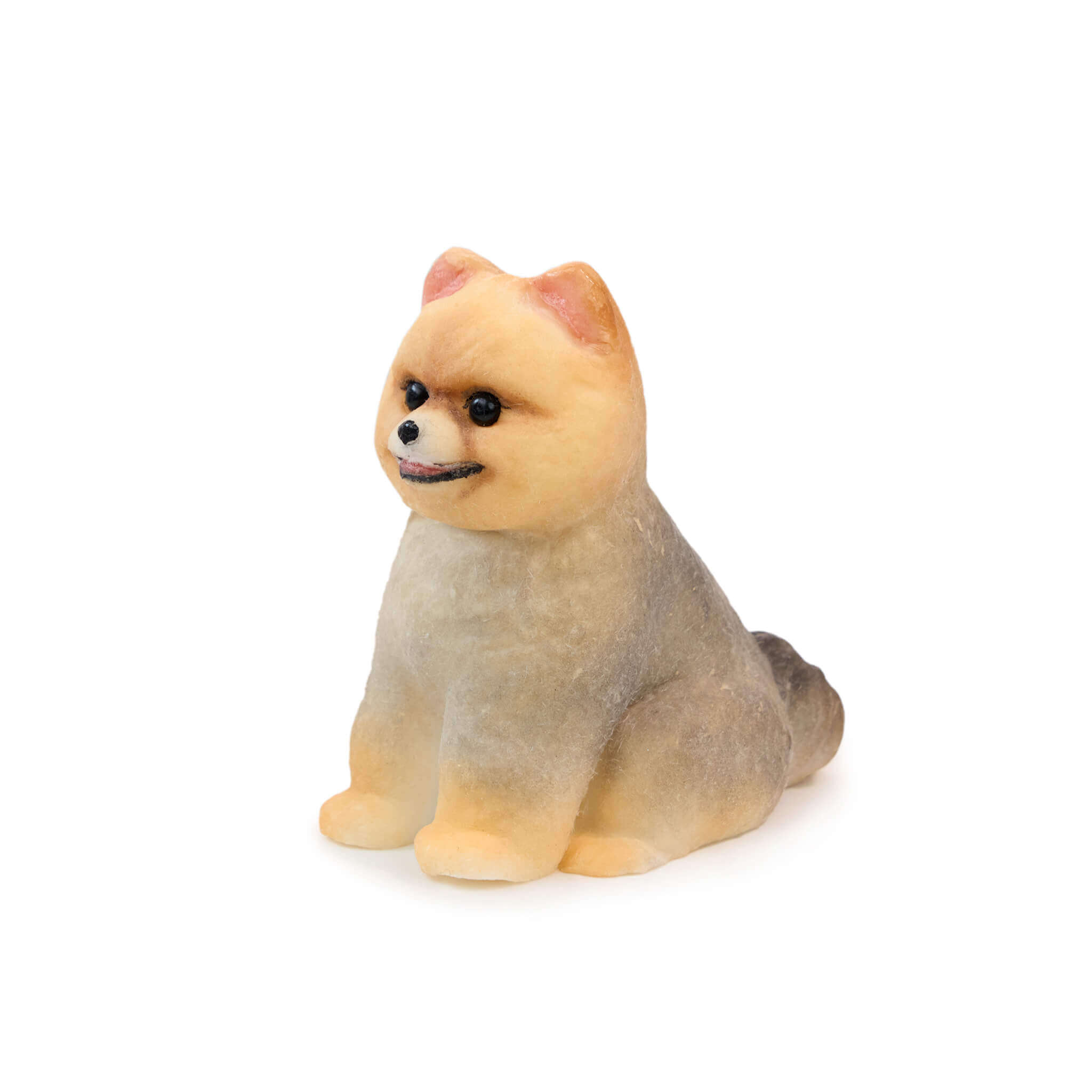 Pomeranian Squishy: Handcrafted Silicone Stress Relief