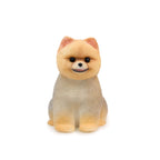 Pomeranian Squishy: Handcrafted Silicone Stress Relief