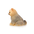 Pomeranian Squishy: Handcrafted Silicone Stress Relief