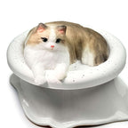 Ragdoll Cat Squishy: Handcrafted Silicone Stress Relief