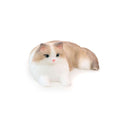 Ragdoll Cat Squishy: Handcrafted Silicone Stress Relief