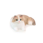 Ragdoll Cat Squishy: Handcrafted Silicone Stress Relief